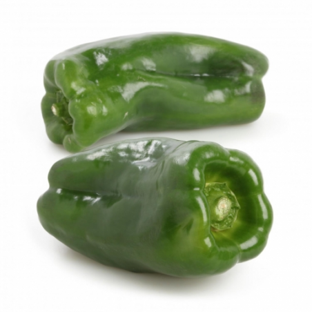 PIMIENTO VERDE