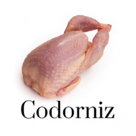 CODORNICES