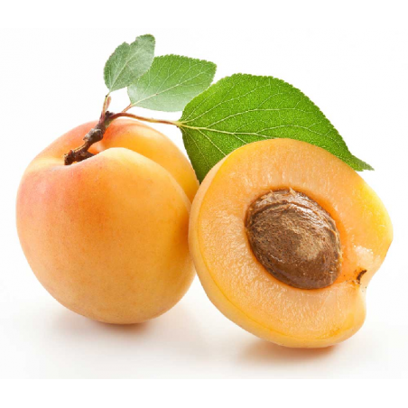 ALBARICOQUES