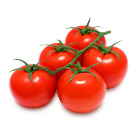 TOMATE RAMA